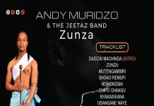 andy muridzo zunza album