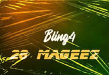 bling4 28 mageez
