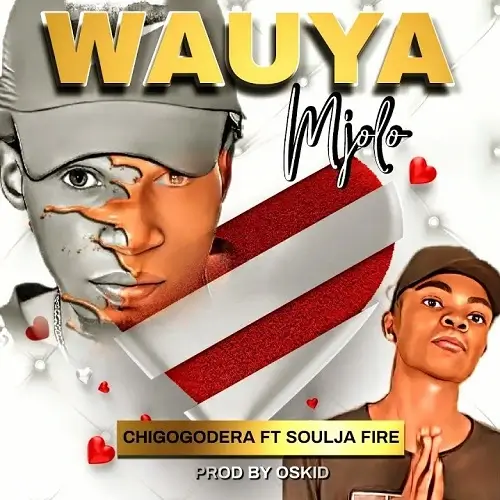 CHIGOGODERA FT. SOULJA FIRE – WAUYA MJOLO