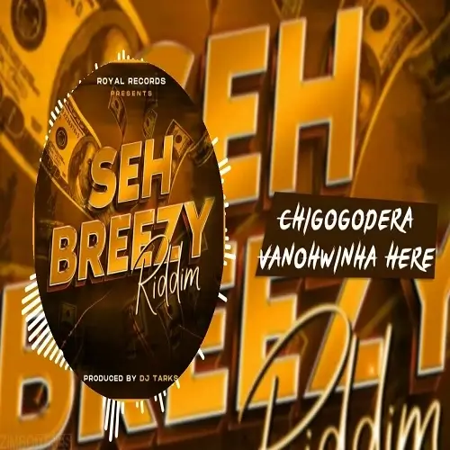CHIGOGODERA – VANOHWINA HERE