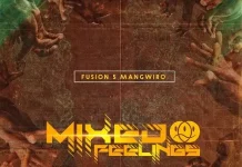 fusion 5 mangwiro mixed feelings album