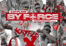 kayflow by force