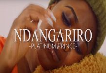 music video platinum prince ndangariro
