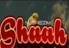 nashie zim shaah