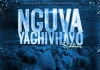 nguva yachivhayo riddim chillspot records
