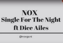 nox ft dice ailes single for the night