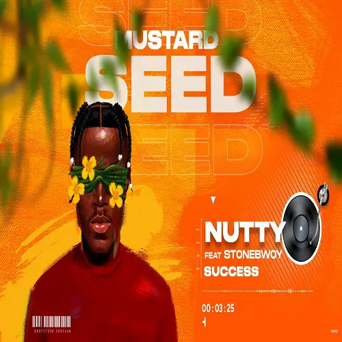 nutty o ft stonebwoy success