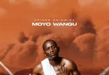 prince chigwida moyo wangu