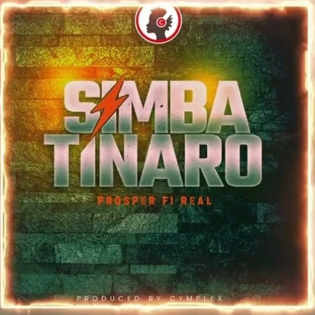 prosper fi real simba tinaro