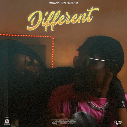 scripmula different ft poptain nutty o