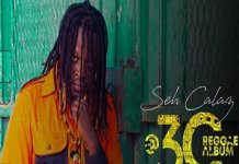 seh calaz 30 reggae album