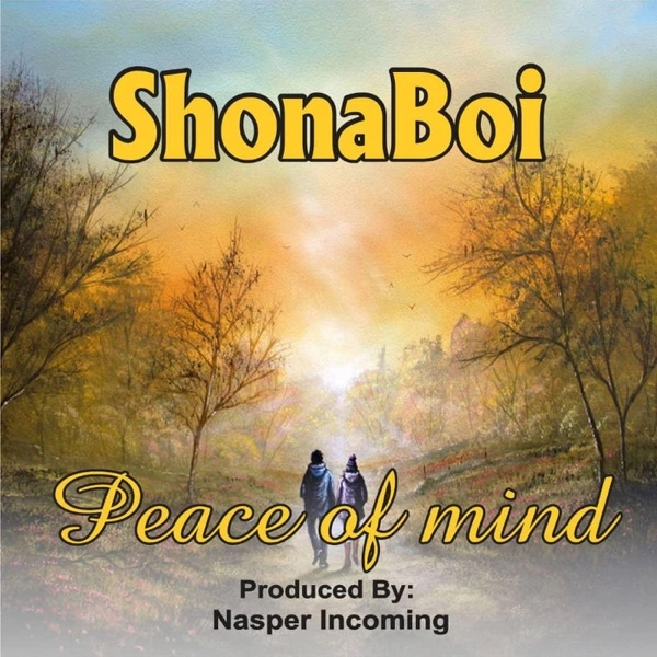 shonaboi peace of mind