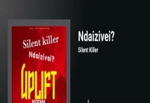 silent killer ndaizivei