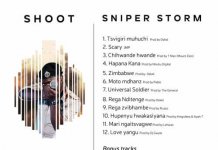 sniper storm shoot album