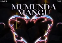 stunner ft shayne mumunda mangu