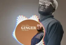 terry afrika ginger album