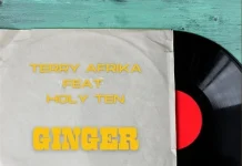 terry afrika ginger ft holy ten