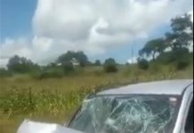 terry afrika involved in a car accident watch video