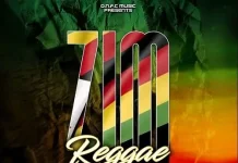 zim reggae conscious mix vol 03 dj chenzoman